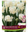 Daffodil Paperwhite Erlicheer 14+ 3pk
