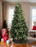 Tree 9' Bergen Spruce Prelit