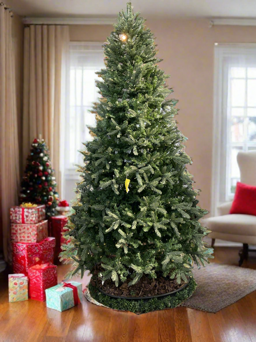 Tree 9' Bergen Spruce Prelit