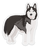 Clear Siberian Husky Dog Sticker 2.52x3in