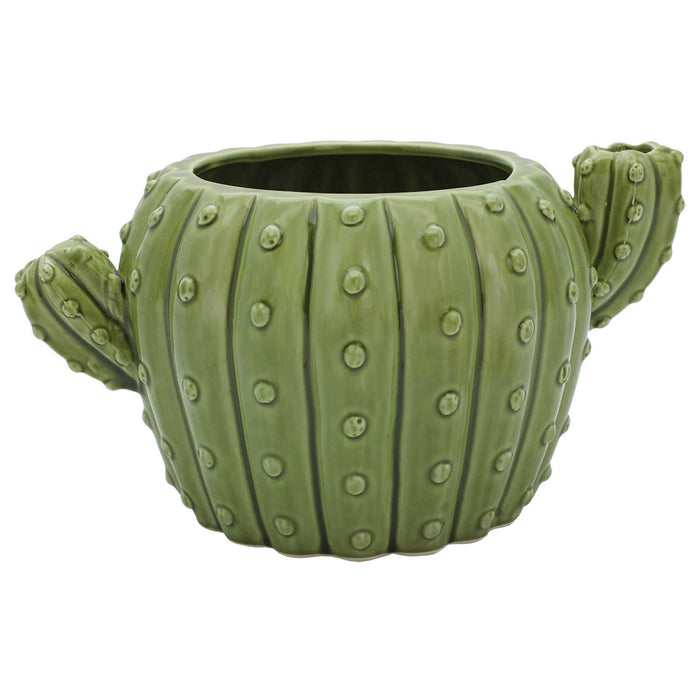 Cactus Flower Pot