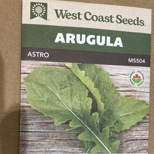 Seed Wc Arugula Astro organic