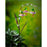 Cottage Garden Stake, Solar Trio of Twinkling Glas
