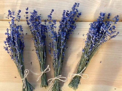 Dried Lavender Mini-Bunches
