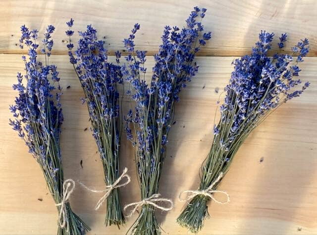Dried Lavender Mini-Bunches