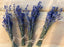 Dried Lavender Mini-Bunches