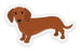 Clear Daschund Dog Sticker 2.8×1.64in