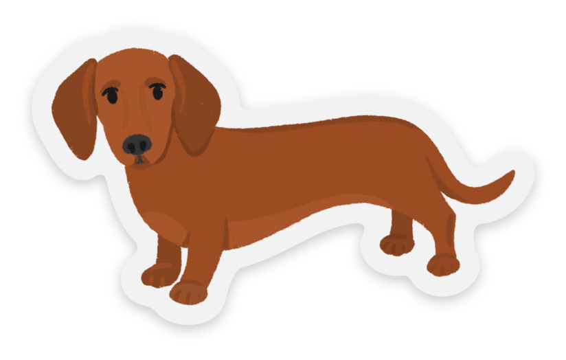 Clear Daschund Dog Sticker 2.8×1.64in