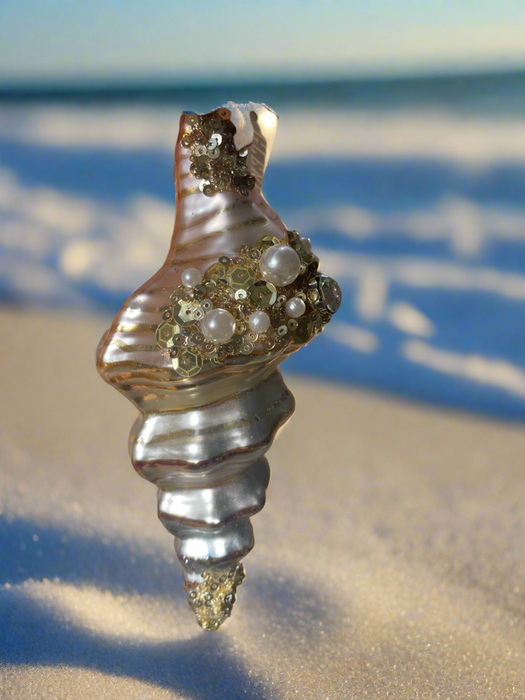 Sea shell w pearls orn