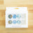 Glass Magnets, Box Set of 8 Floral Magnets PREORDER MID FEB