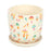 Funky Fungi Mushroom Print Plant Pot with Saucer