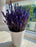 Dried English Lavender Bouquets - Deep Purple