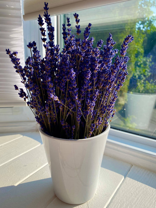 Dried English Lavender Bouquets - Deep Purple