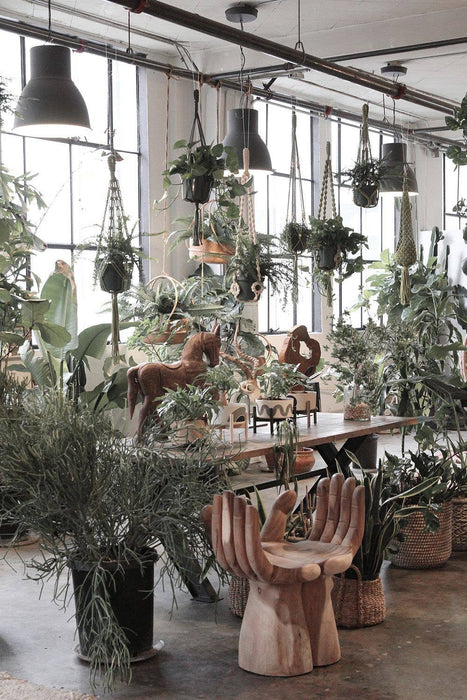 OG Plant Hanger Macrame Moss Green