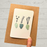 Tiny Card with Sea Glass, Potted Plants Card