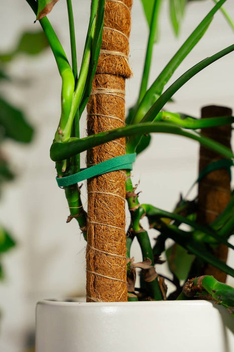 Coco Coir Poles