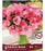 ANEMONE Rainbow Barbie 5/6 5pk