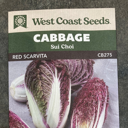 Seed WC Cabbage Red Scarvita