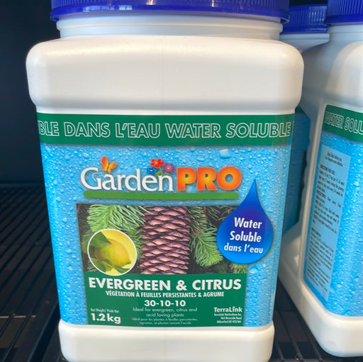 plant prod evergreen & shrub fertilizer 30 10 10 Plant Food Evergreen & Citrus WS 30-10-10 1.2 kg — Dutch Growers Regina
