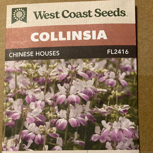 Seed WC Collinsia Chinese Houses