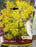 Allium moly luteum
