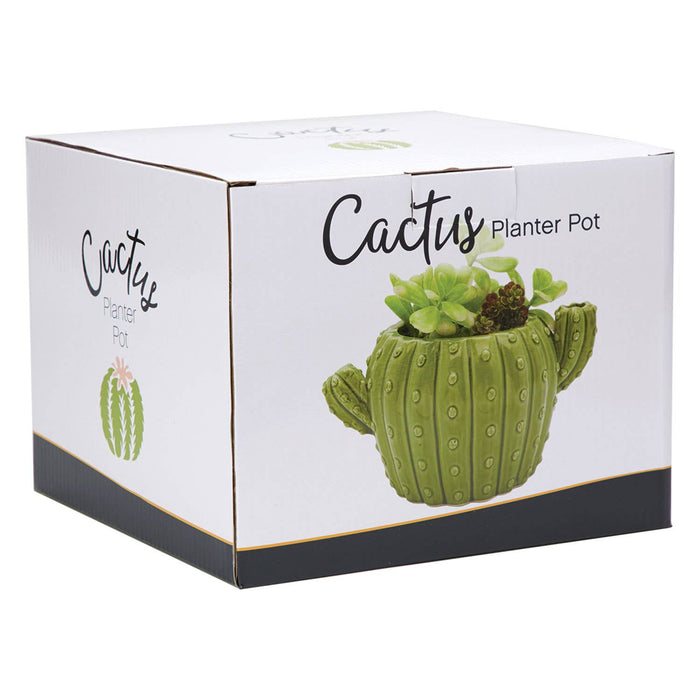 Cactus Flower Pot