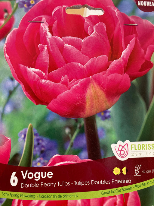 Tulip -Vogue