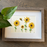 Sunflower Quilled Art, Paper Quilling Framed Wall Art