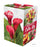 Calla Indoor Blooms Kit GP53