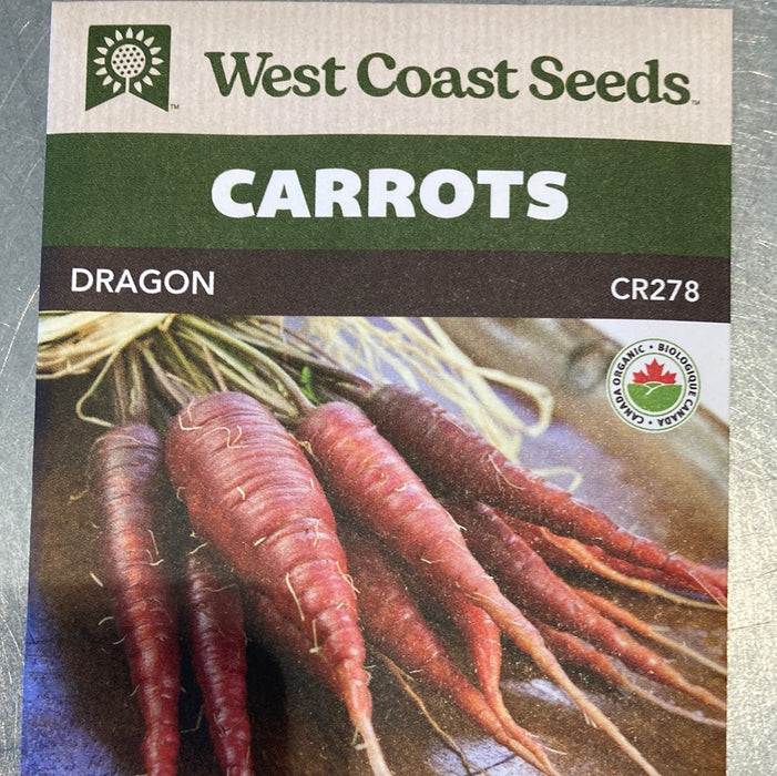 Seed WC Carrot Dragon