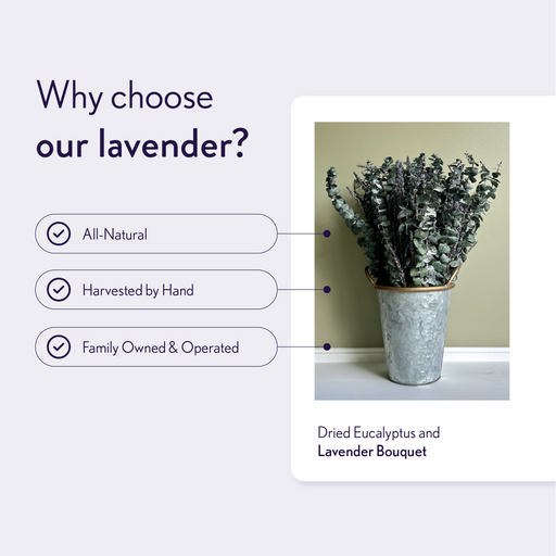 Dried Lavender and Eucalyptus Bouquets