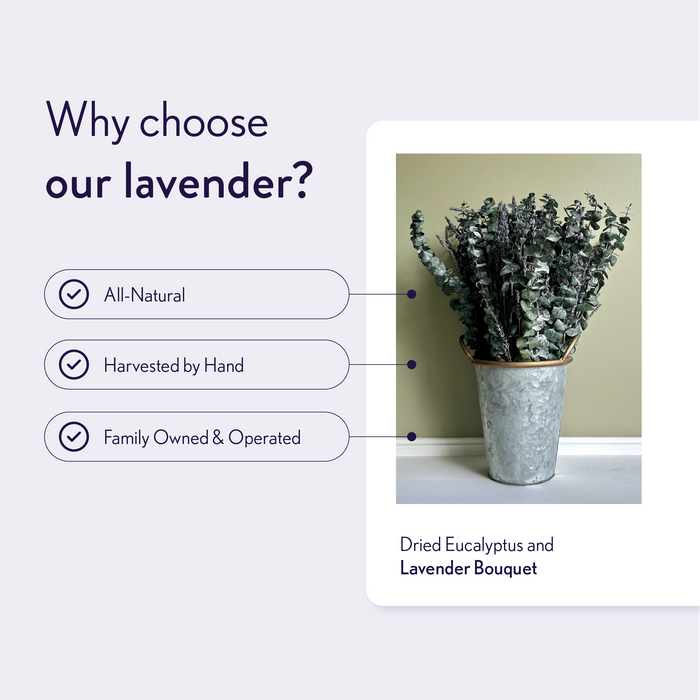 Dried Lavender and Eucalyptus Bouquets