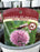 Allium Millenium #1