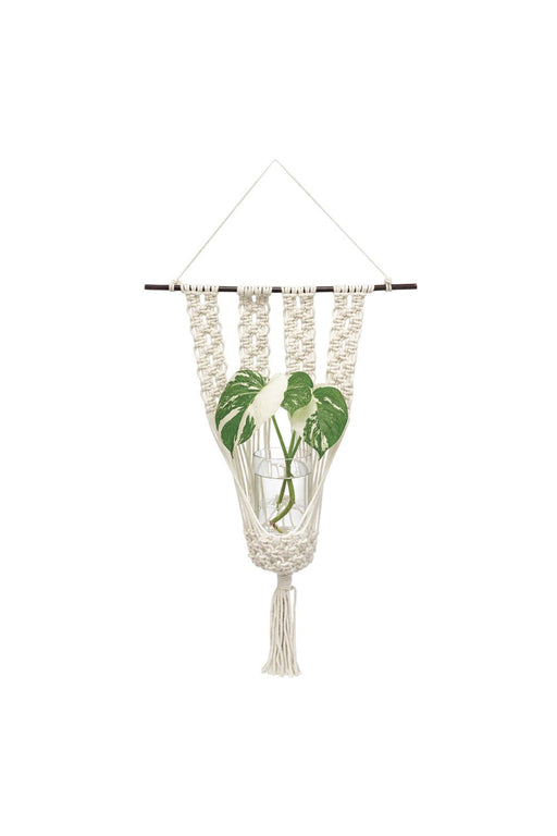 Wall Hanging Macrame Planter