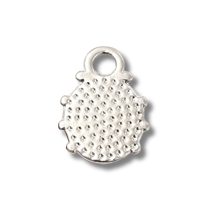 Ladybug Charm