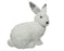 Rabbit White Fur 29 cm