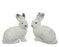 Rabbit White Fur 20 cm