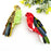 Hummingbird Hair Claw Clip, Elegant Acetate Bird Hair Clip