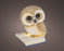 Owl Standing on Book LED