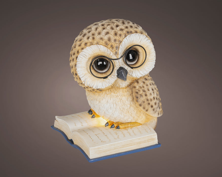 Owl Standing on Book LED
