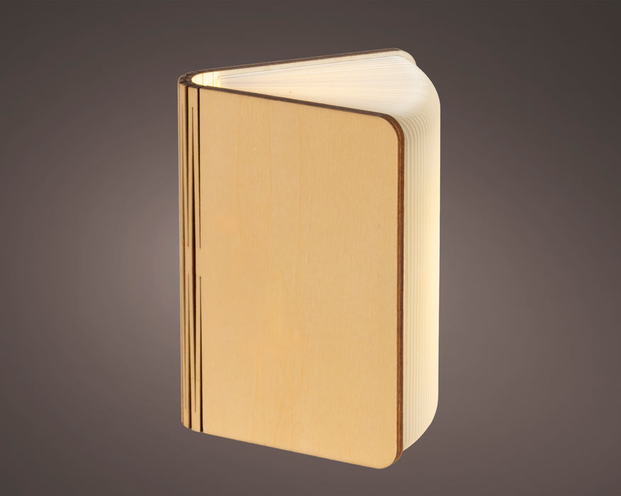 LED Book Steady White/Colour Select 12x17x8 cm