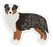 Clear Australian Shepherd Dog Sticker 2.9×2.55in