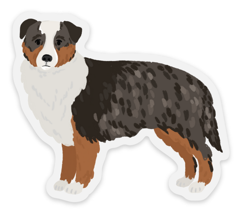 Clear Australian Shepherd Dog Sticker 2.9×2.55in