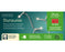 Lights LED Durawise Basic - Battery