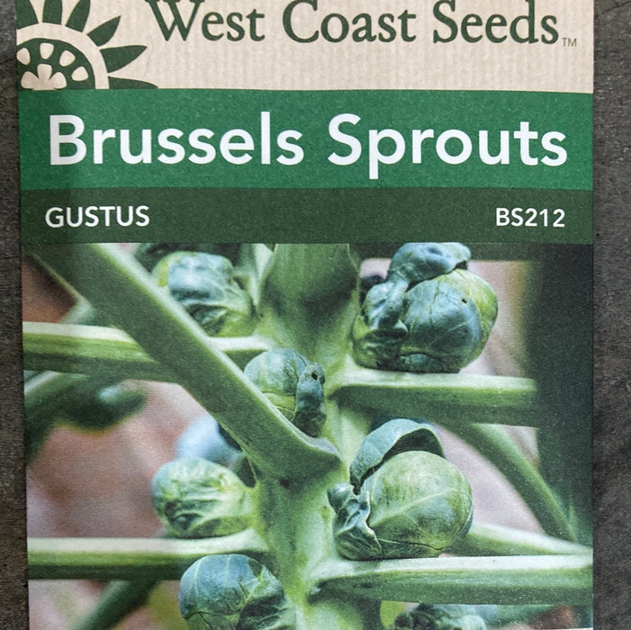 Seed WC Brussels Sprout Gustus