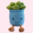 8" Smiling Succulent Plush - Home/Office Decoration
