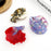 New Fish-Themed Hair Claw Clip