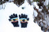 Sasquatch Shadows Knit Gloves