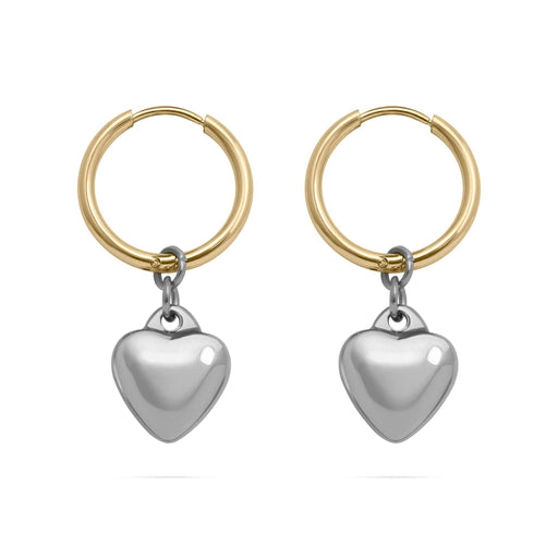 18K Gold Stainless Steel Mixed Metal Heart Charm Earrings