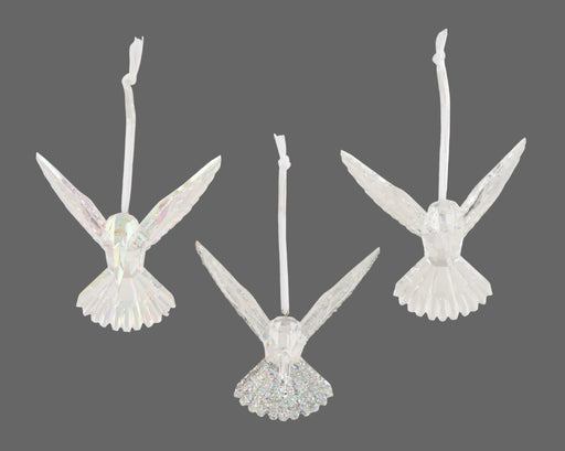 Orn Hummingbird Iris/Transparent